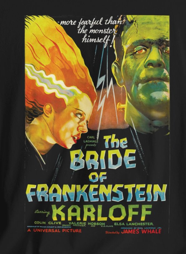 T - Shirt - Bride of Frankenstein Poster Tee | Movies and TV | Horror | Bella + Canvas Unisex T - shirt from Crypto Zoo Tees