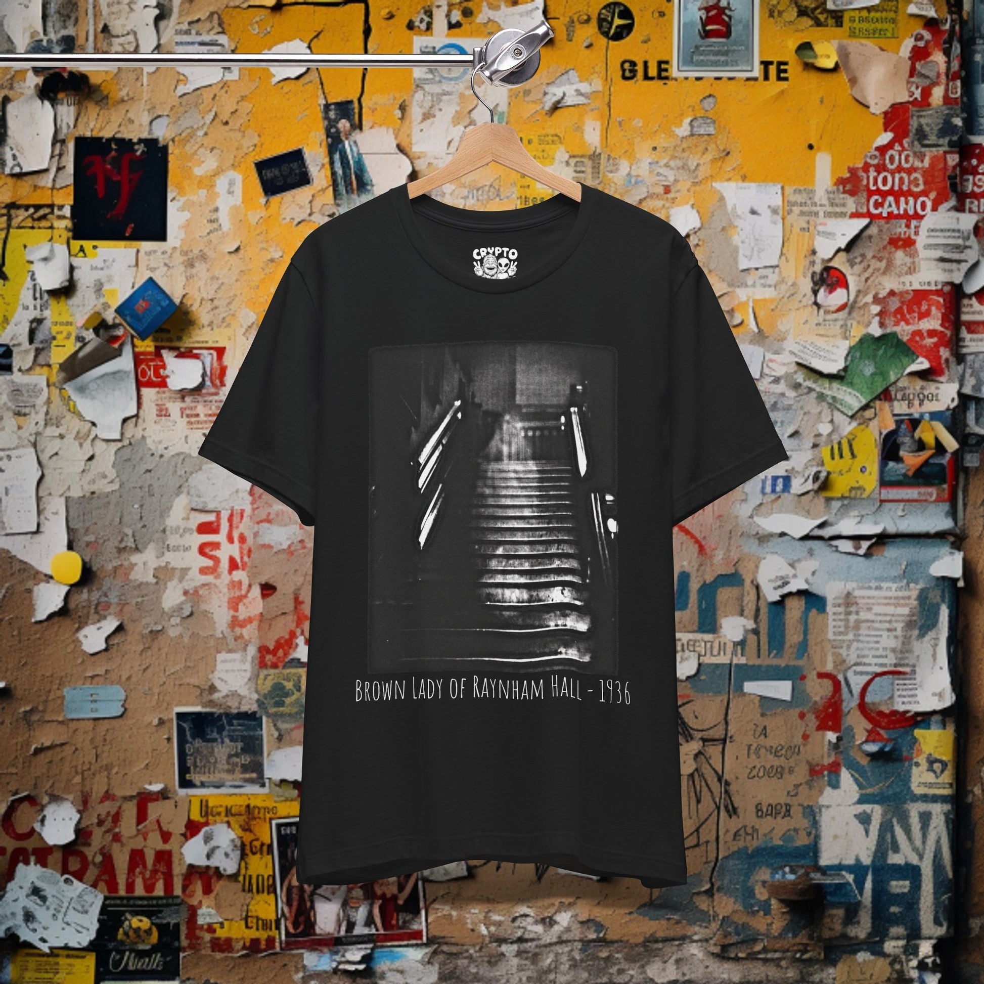 T-Shirt - Brown Lady of Raynham Hall 1936 | Bella + Canvas Unisex T-shirt from Crypto Zoo Tees