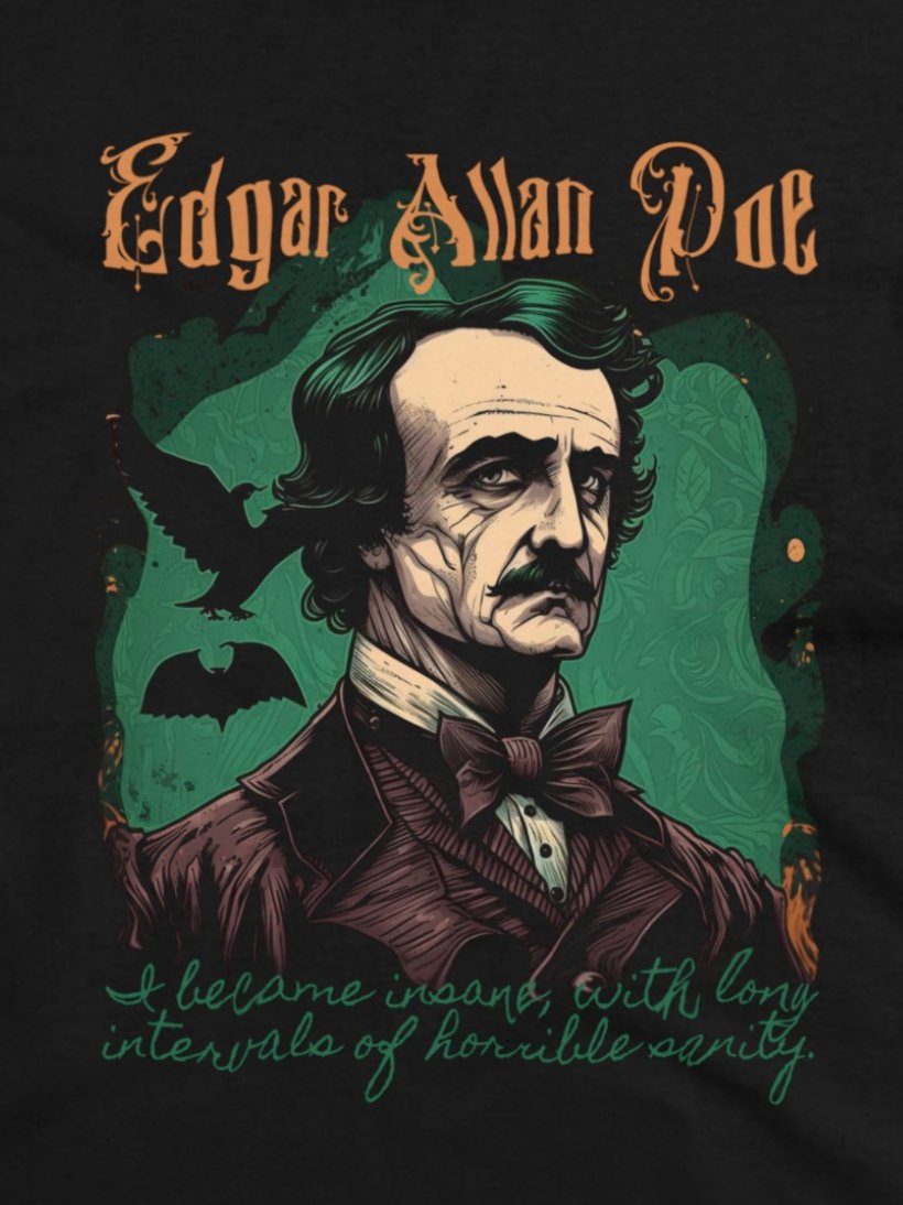 T-Shirt - Edgar Allan Poe Insanity Quote | Bella + Canvas Unisex T-shirt from Crypto Zoo Tees