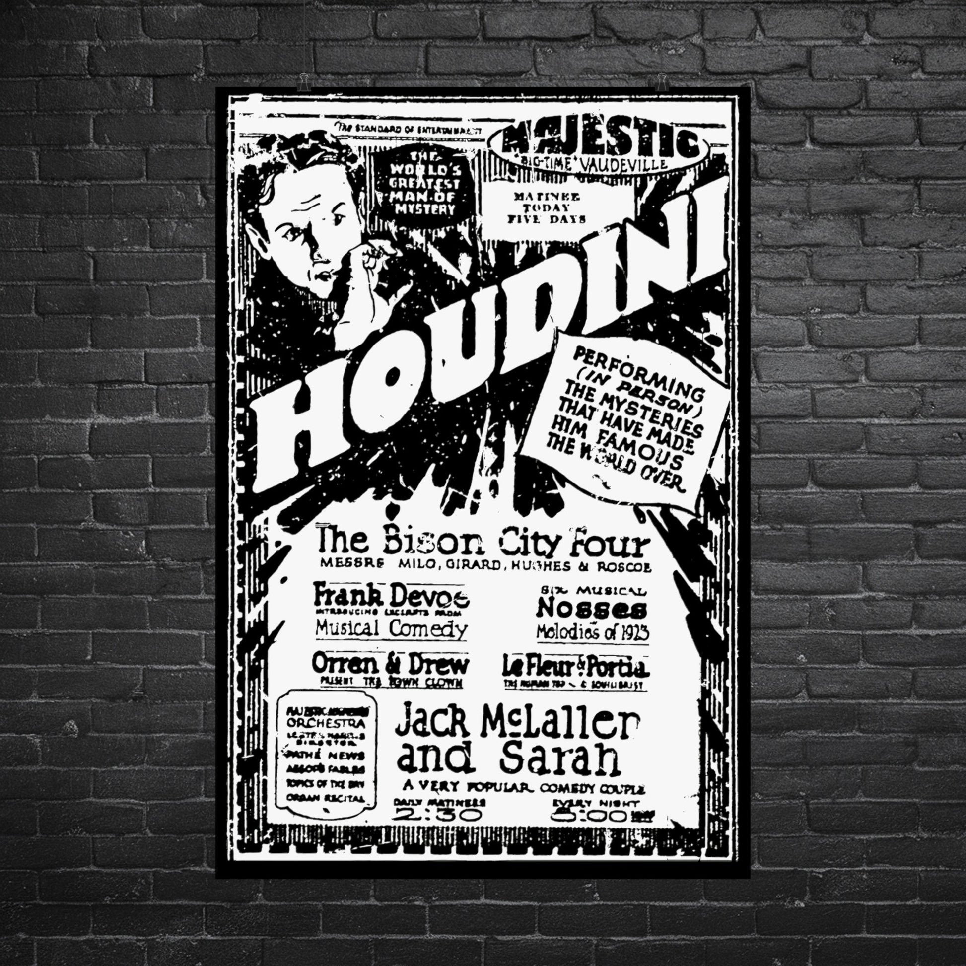 Poster - Houdini Distressed Live Poster | Museum-Quality Poster from Crypto Zoo Tees