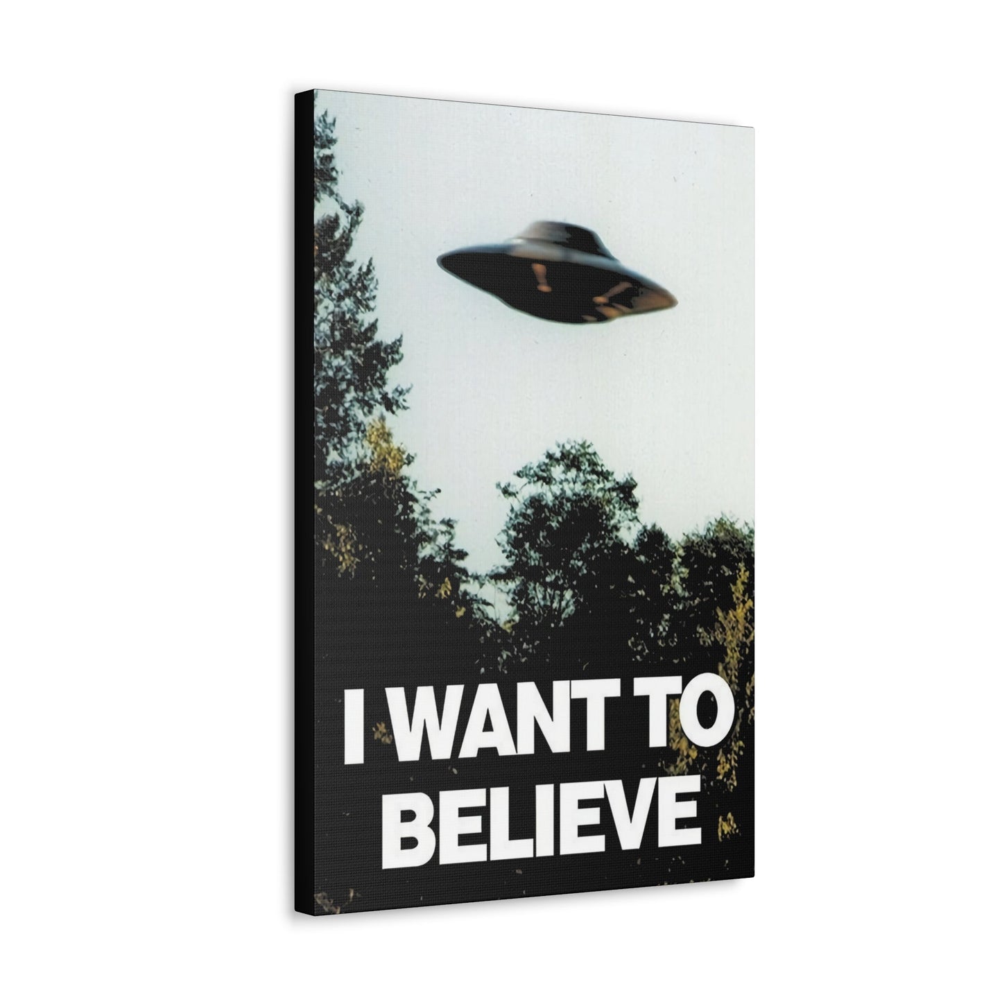 Canvas - I Want to Believe in UFOs Canvas Gallery Wrap - Vibrant Wall Art from Crypto Zoo Tees