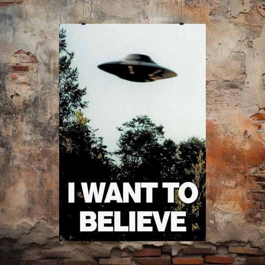 Poster - I Want To Believe - X Files Style UFO | Poster from Crypto Zoo Tees