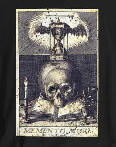 T - Shirt - Memento Mori Skull | Gothic | Bella + Canvas Unisex T - shirt from Crypto Zoo Tees