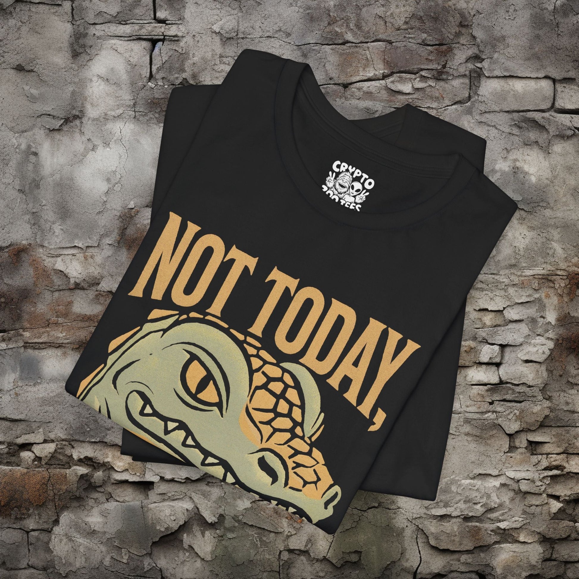 T-Shirt - Not Today Reptilian Overlords Shirt Funny Alien Conspiracy T-Shirt Humor Gift for UFO Fans Reptilian Theory Graphic Tee from Crypto Zoo Tees