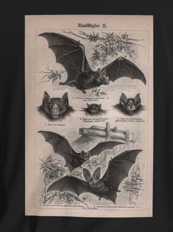 T - Shirt - Vintage Bat Ephemera | Bella + Canvas Unisex T - shirt from Crypto Zoo Tees